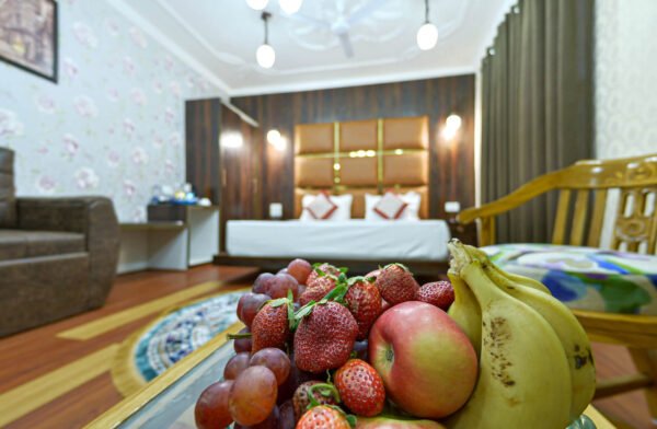 Royal Habib Residency - Super Deluxe Rooms 03